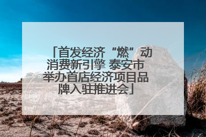 首发经济“燃”动消费新引擎 泰安市举办首店经济项目品牌入驻推进会