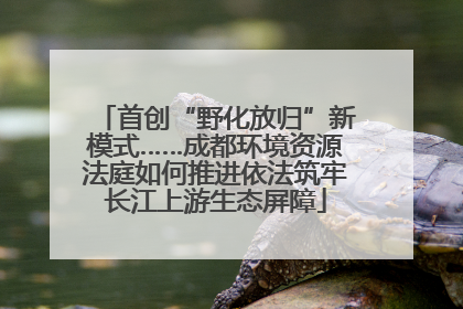 首创“野化放归”新模式……成都环境资源法庭如何推进依法筑牢长江上游生态屏障