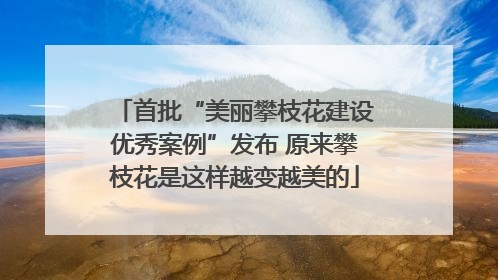 首批“美丽攀枝花建设优秀案例”发布 原来攀枝花是这样越变越美的
