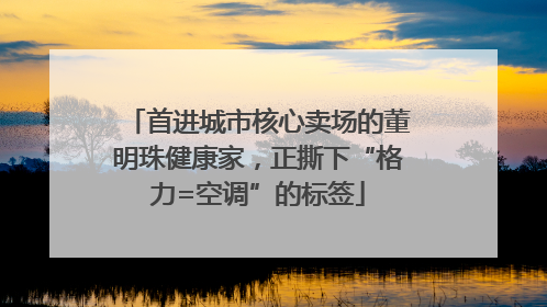 首进城市核心卖场的董明珠健康家，正撕下“格力=空调”的标签