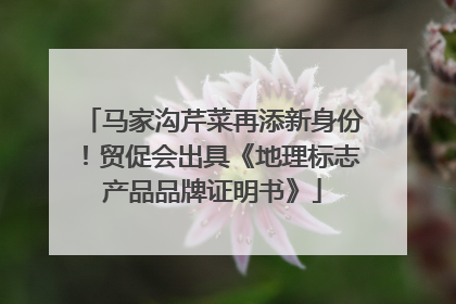 马家沟芹菜再添新身份！贸促会出具《地理标志产品品牌证明书》