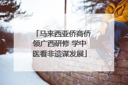 马来西亚侨商侨领广西研修 学中医看非遗谋发展