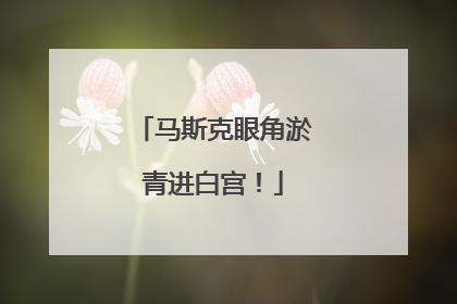 马斯克眼角淤青进白宫！