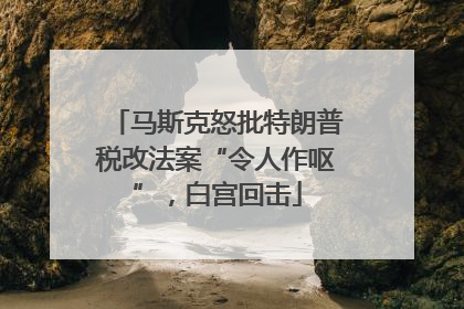 马斯克怒批特朗普税改法案“令人作呕”，白宫回击
