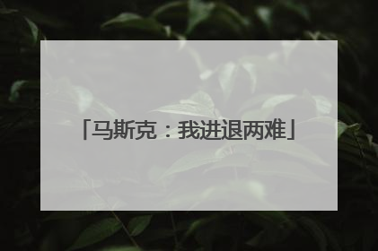 马斯克：我进退两难