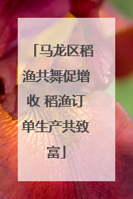 马龙区稻渔共舞促增收 稻渔订单生产共致富