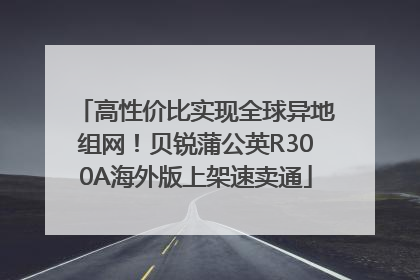 高性价比实现全球异地组网！贝锐蒲公英R300A海外版上架速卖通