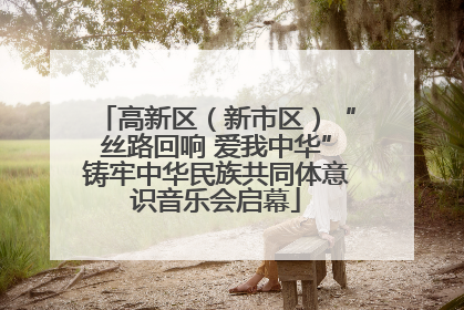高新区（新市区）“丝路回响 爱我中华”铸牢中华民族共同体意识音乐会启幕