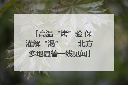 高温“烤”验 保灌解“渴”——北方多地夏管一线见闻