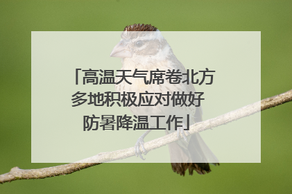 高温天气席卷北方 多地积极应对做好防暑降温工作