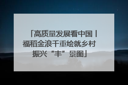 高质量发展看中国丨福稻金浪千重绘就乡村振兴“丰”景图