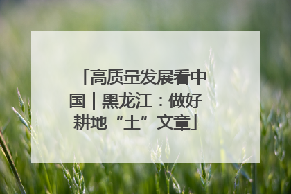 高质量发展看中国｜黑龙江：做好耕地“土”文章