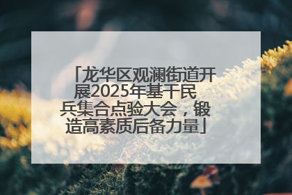 龙华区观澜街道开展2025年基干民兵集合点验大会，锻造高素质后备力量