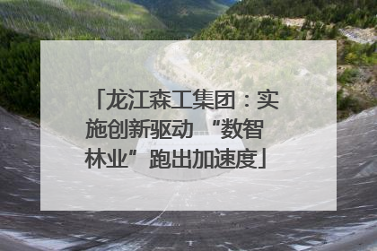 龙江森工集团：实施创新驱动 “数智林业”跑出加速度