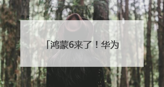 鸿蒙6来了！华为发布鸿蒙智能体框架 盘古大模型上新