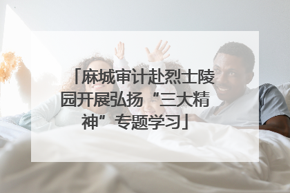 麻城审计赴烈士陵园开展弘扬“三大精神”专题学习