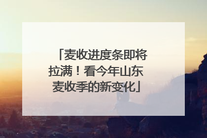 麦收进度条即将拉满！看今年山东麦收季的新变化