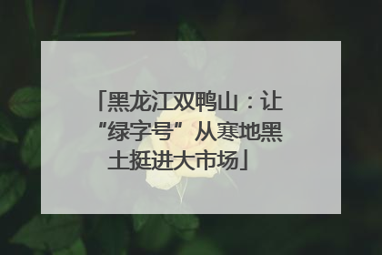 黑龙江双鸭山：让“绿字号”从寒地黑土挺进大市场