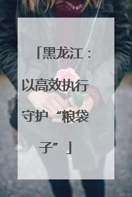 黑龙江：以高效执行守护“粮袋子”