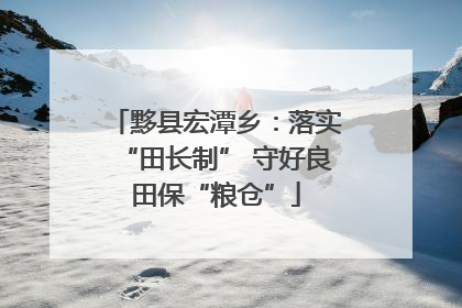 黟县宏潭乡：落实“田长制” 守好良田保“粮仓”
