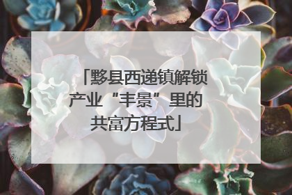 黟县西递镇解锁产业“丰景”里的共富方程式