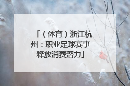 （体育）浙江杭州：职业足球赛事释放消费潜力