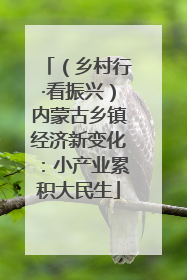 （乡村行·看振兴）内蒙古乡镇经济新变化：小产业累积大民生