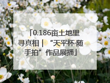 0.186亩土地里寻真相｜“天平杯·随手拍”作品展播