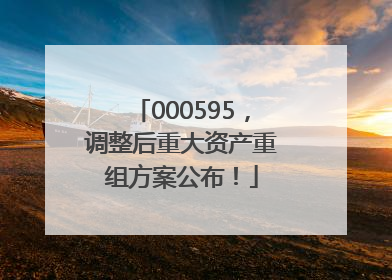 000595，调整后重大资产重组方案公布！