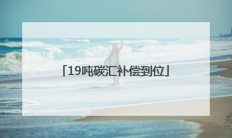 19吨碳汇补偿到位