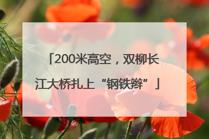 200米高空，双柳长江大桥扎上“钢铁辫”