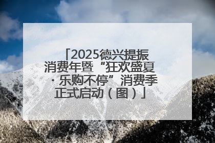 2025德兴提振消费年暨“狂欢盛夏・乐购不停”消费季正式启动（图）