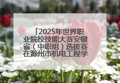 2025年世界职业院校技能大赛安徽省（中职组）选拔赛在滁州市机电工程学校赛点落下帷幕