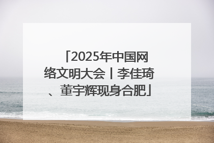 2025年中国网络文明大会丨李佳琦、董宇辉现身合肥