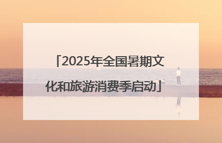 2025年全国暑期文化和旅游消费季启动