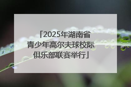2025年湖南省青少年高尔夫球校际俱乐部联赛举行