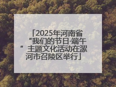 2025年河南省“我们的节日·端午”主题文化活动在漯河市召陵区举行