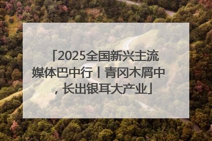 2025全国新兴主流媒体巴中行丨青冈木屑中，长出银耳大产业