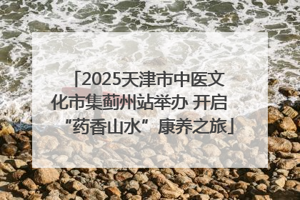 2025天津市中医文化市集蓟州站举办 开启“药香山水”康养之旅