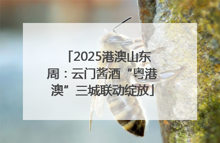2025港澳山东周：云门酱酒“粤港澳”三城联动绽放