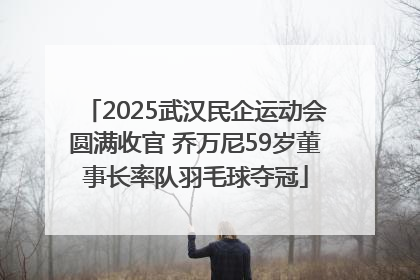 2025武汉民企运动会圆满收官 乔万尼59岁董事长率队羽毛球夺冠