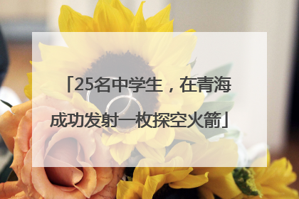 25名中学生，在青海成功发射一枚探空火箭