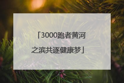 3000跑者黄河之滨共逐健康梦