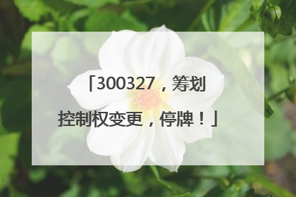 300327，筹划控制权变更，停牌！