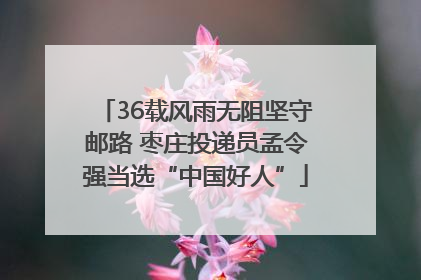 36载风雨无阻坚守邮路 枣庄投递员孟令强当选“中国好人”