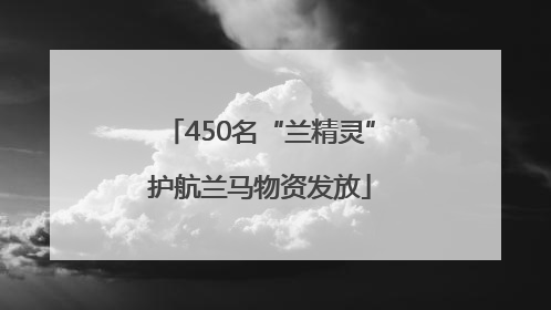 450名“兰精灵”护航兰马物资发放