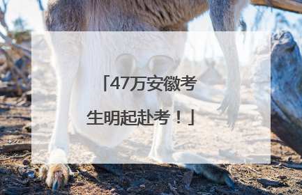 47万安徽考生明起赴考！