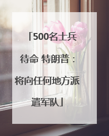 500名士兵待命 特朗普：将向任何地方派遣军队