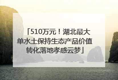 510万元！湖北最大单水土保持生态产品价值转化落地孝感云梦