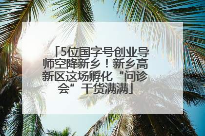 5位国字号创业导师空降新乡！新乡高新区这场孵化“问诊会”干货满满